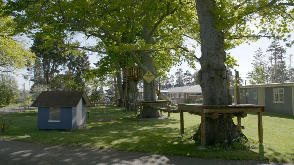 Te Aroha Holiday Park And Motels Exteriör bild