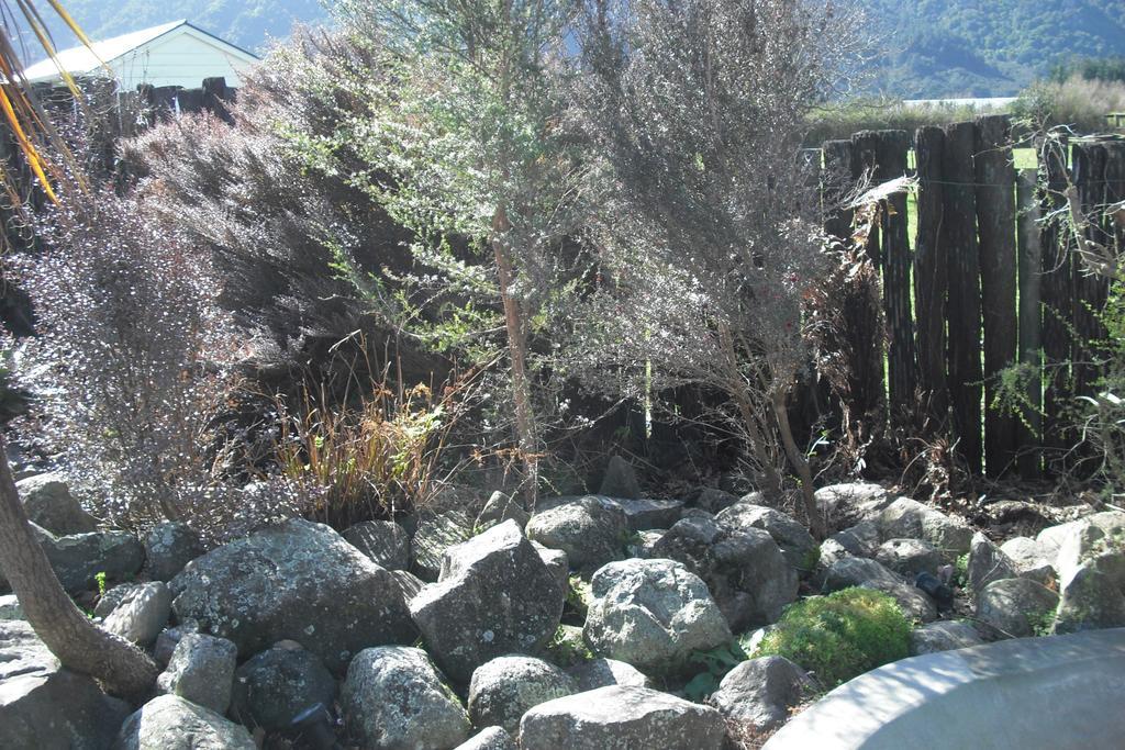 Te Aroha Holiday Park And Motels Exteriör bild